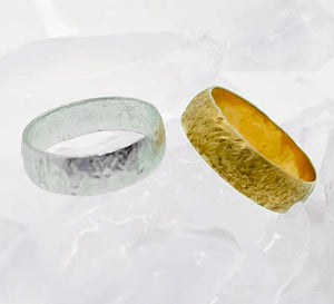 Alianza ICE