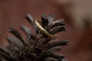 Anillo RUSTIC