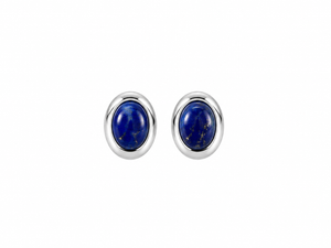 The Perfect Touch- Pendientes Ovalados Maxi- Limited edition
