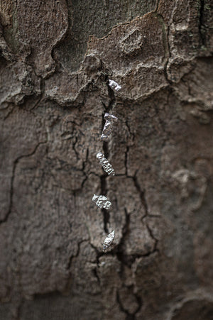 Piercing Elemento de la Naturaleza
